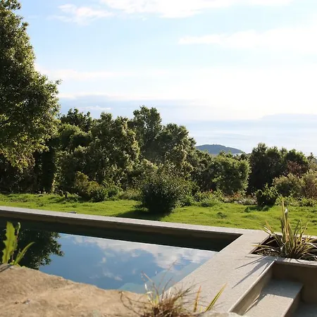 Palazzu Nicrosi Guest house *