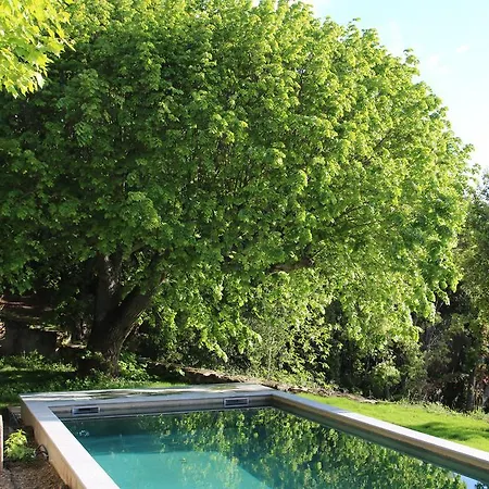 Palazzu Nicrosi Gæstehus Rogliano