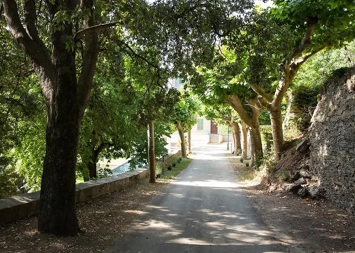 Maison d'hôtes Palazzu Nicrosi Rogliano