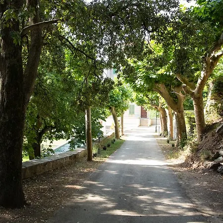 בית הארחה Palazzu Nicrosi Rogliano